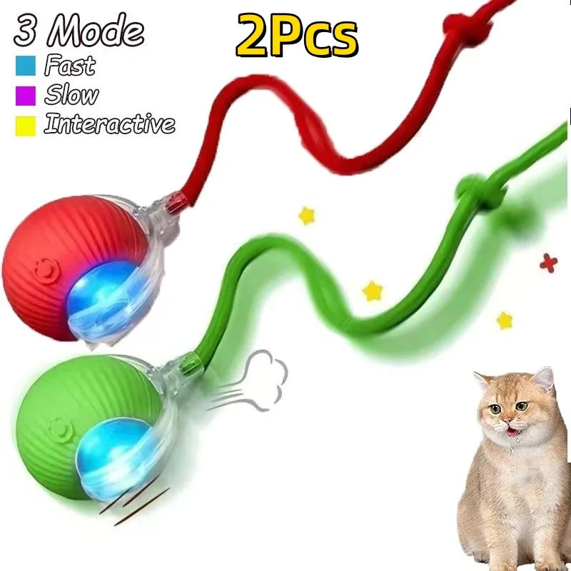 PET TOYS & ENRICHMENT